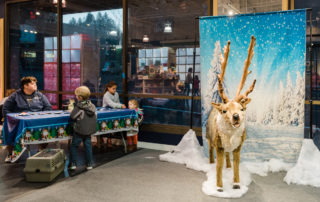 Reindeer selfie station